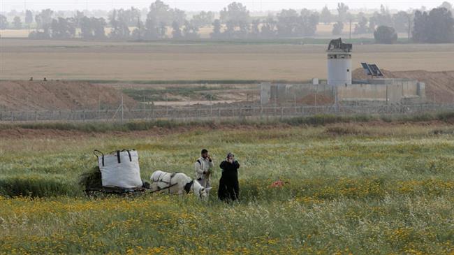 Pesawat Israel Semprotkan Herbisida Beracun ke Tanah Pertanian Palestina di Gaza